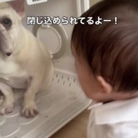 「助けられない…」