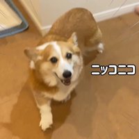 嬉しくてニコニコ♪