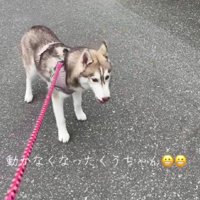 「まだ帰りたくない～」