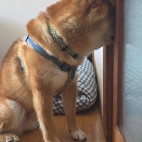 「ちゃんと仕事してる？」
