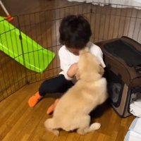 初対面のふたり