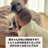 グイグイ頭を押しつけています
