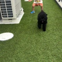 お庭で追いかけっこ中