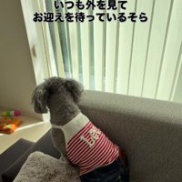 切ない背中に涙…