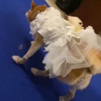 まさかのハプニング