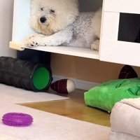 温度差が激しい…！！