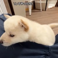 勝利した子は満足そう♪
