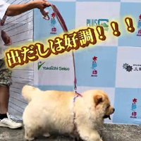 スタートから猛ダッシュ