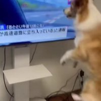 家の中でのヒトコマ