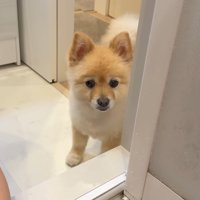 とても心配そう…！