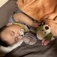 2体のぬいぐるみと眠る赤ちゃん