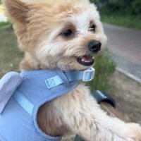 優しい笑顔♪