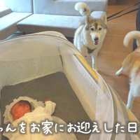 赤ちゃんとの初対面