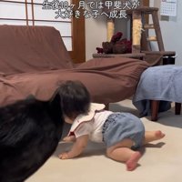 ツムギちゃんと娘さん5