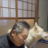 何かを察します