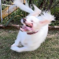 ホラー