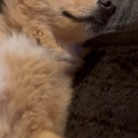 幸せそうにウトウト…♪