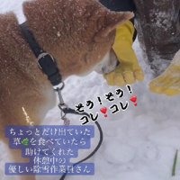 「これ好きなんだ！！」