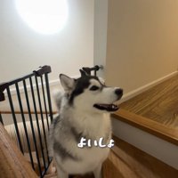 ヴァルくんがロック解除して…