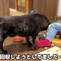 「やっぱり駒は危ない！」