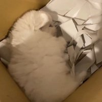 可愛い寝顔にキュン♡
