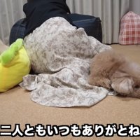 ママに寄り添う2匹