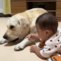 なんだかんだ言っても…