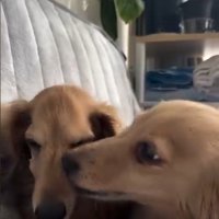 とっても仲良しだったソラくんとレオくん