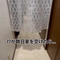 ママが数日ぶりに帰宅