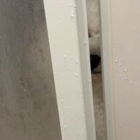 ギギギギ…