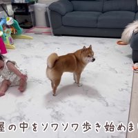 ソワソワするうにくん