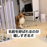 名前を呼ばれた時のリックくん2