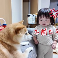 「やっぱり納得できない！」