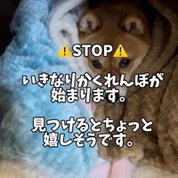 実はかくれんぼが好き…♡