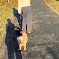 お散歩中のチャックくん2