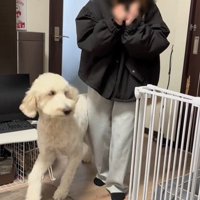 ソラちゃんの熱烈歓迎6