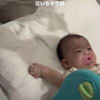 2匹と一緒に過ごしてきました