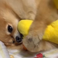 「もう離さないよ」