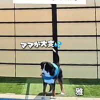 雅ちゃんはオロオロ