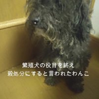 処分予定だったバグちゃん