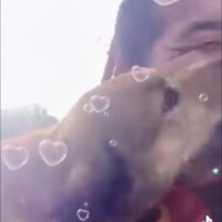 男性の顔をなめる犬