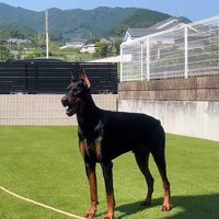 佇んでいるだけでカッコいい！