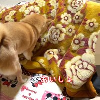 毛布をホリホリ