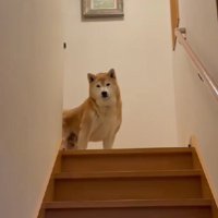 虚無な表情に爆笑！！