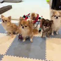 みんなでサポートするよ
