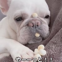 「ん…？いい匂い」