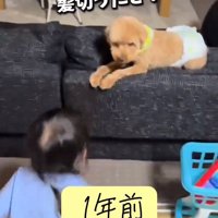 ふうたくんと女の子