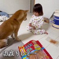 女の子に「おすわり」と言われて、その場に座る犬
