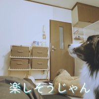 パパさんが登場すると…