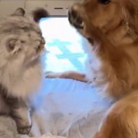 ちょっぴり痛いけど…